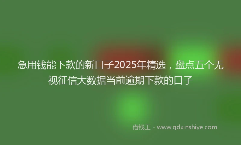 急用钱能下款的新口子2025年精选，盘点五个无视征信大数据当前逾期下款的口子