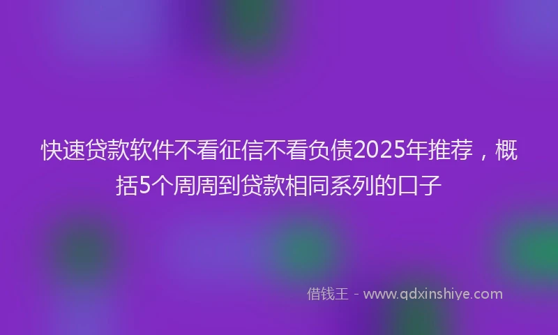 快速贷款软件不看征信不看负债2025年推荐，概括5个周周到贷款相同系列的口子