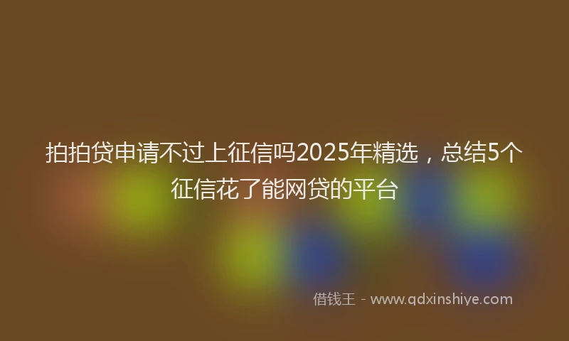 拍拍贷申请不过上征信吗2025年精选，总结5个征信花了能网贷的平台