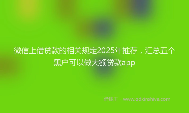微信上借贷款的相关规定2025年推荐，汇总五个黑户可以做大额贷款app