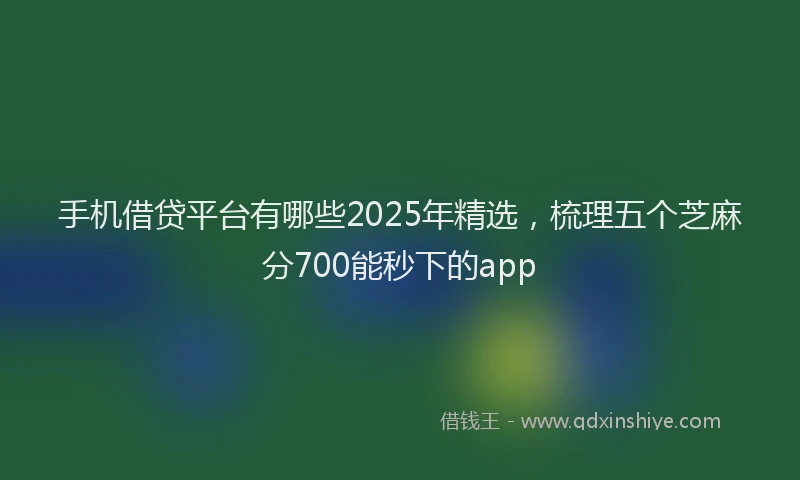 手机借贷平台有哪些2025年精选，梳理五个芝麻分700能秒下的app