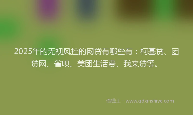 2025年的无视风控的网贷有哪些有：柯基贷、团贷网、省呗、美团生活费、我来贷等。