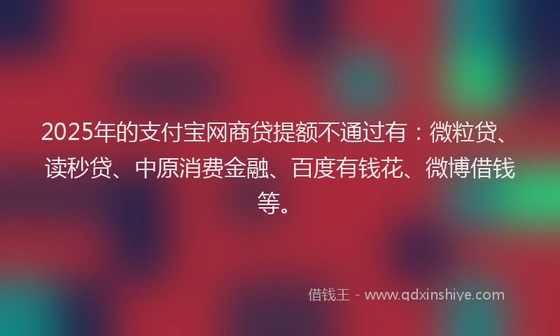 2025年的支付宝网商贷提额不通过有：微粒贷、读秒贷、中原消费金融、百度有钱花、微博借钱等。