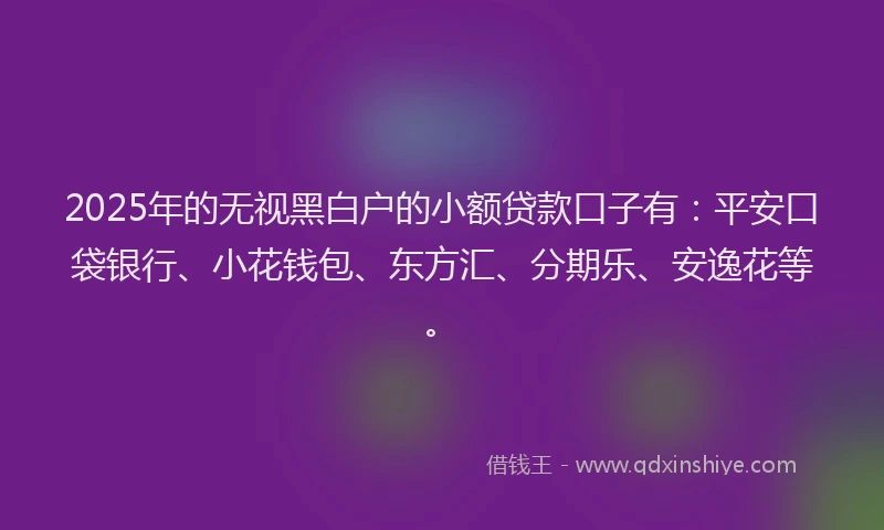 2025年的无视黑白户的小额贷款口子有：平安口袋银行、小花钱包、东方汇、分期乐、安逸花等。