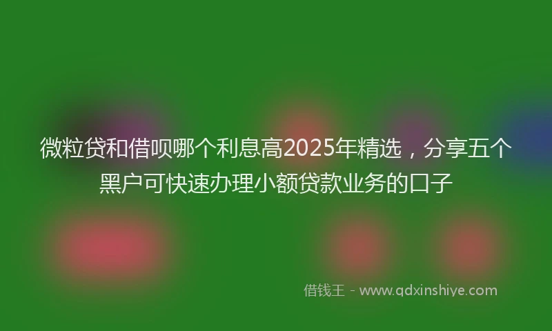 微粒贷和借呗哪个利息高2025年精选，分享五个黑户可快速办理小额贷款业务的口子