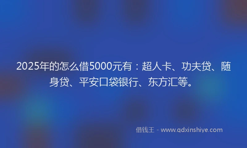 2025年的怎么借5000元有：超人卡、功夫贷、随身贷、平安口袋银行、东方汇等。