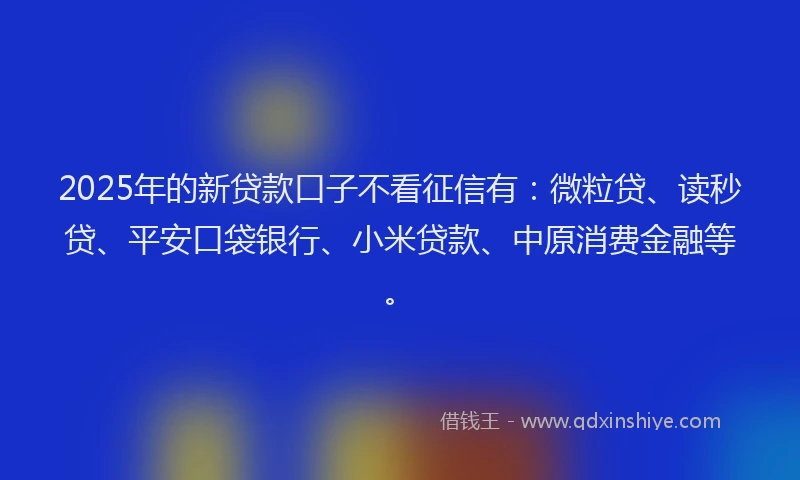 2025年的新贷款口子不看征信有：微粒贷、读秒贷、平安口袋银行、小米贷款、中原消费金融等。