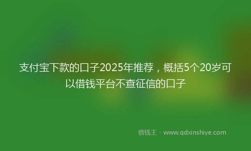 支付宝下款的口子2025年推荐，概括5个20岁可以借钱平台不查征信的口子