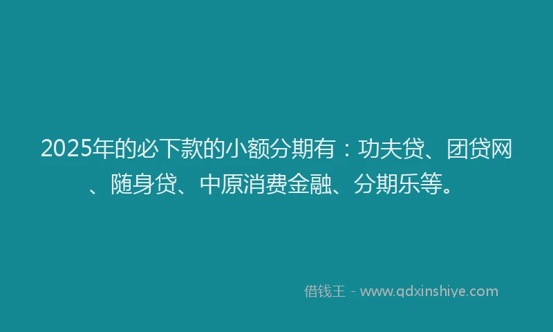 2025年的必下款的小额分期有：功夫贷、团贷网、随身贷、中原消费金融、分期乐等。