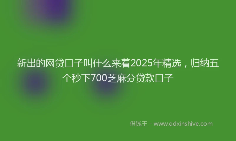 新出的网贷口子叫什么来着2025年精选，归纳五个秒下700芝麻分贷款口子
