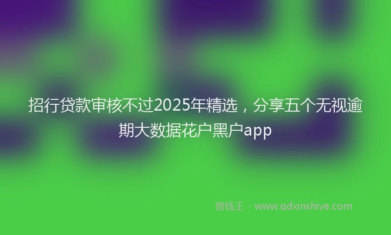 招行贷款审核不过2025年精选，分享五个无视逾期大数据花户黑户app