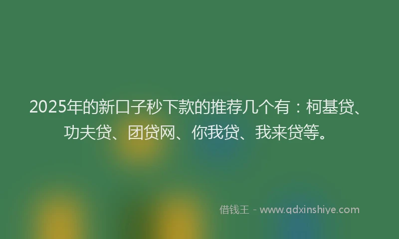 2025年的新口子秒下款的推荐几个有：柯基贷、功夫贷、团贷网、你我贷、我来贷等。