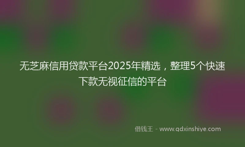 无芝麻信用贷款平台2025年精选，整理5个快速下款无视征信的平台