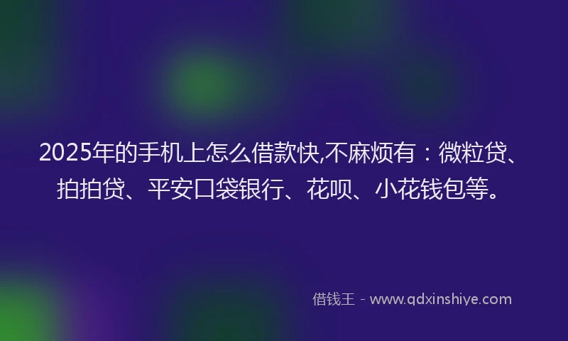 2025年的手机上怎么借款快,不麻烦有：微粒贷、拍拍贷、平安口袋银行、花呗、小花钱包等。