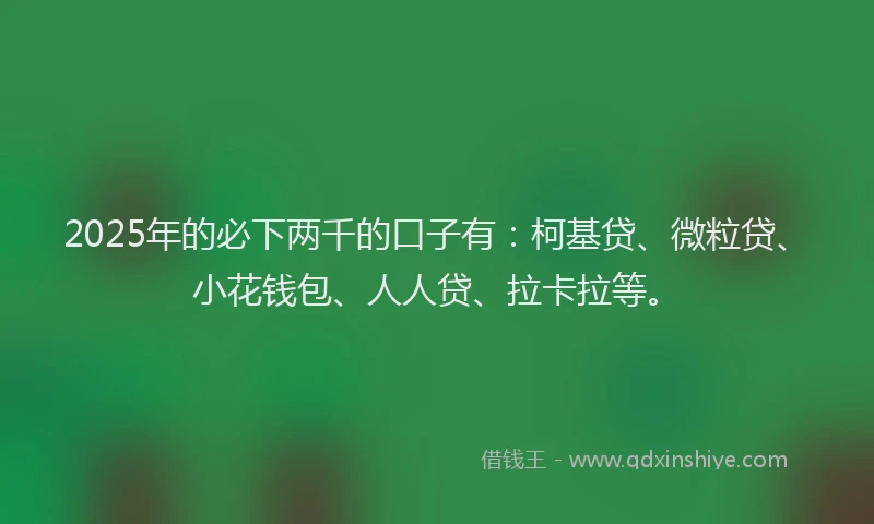 2025年的必下两千的口子有：柯基贷、微粒贷、小花钱包、人人贷、拉卡拉等。