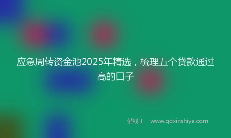 应急周转资金池2025年精选，梳理五个贷款通过高的口子