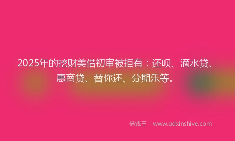 2025年的挖财美借初审被拒有：还呗、滴水贷、惠商贷、替你还、分期乐等。