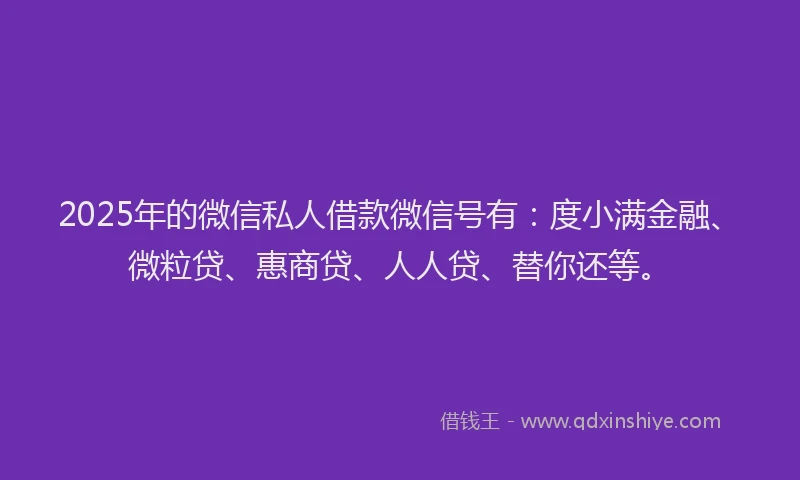 2025年的微信私人借款微信号有：度小满金融、微粒贷、惠商贷、人人贷、替你还等。