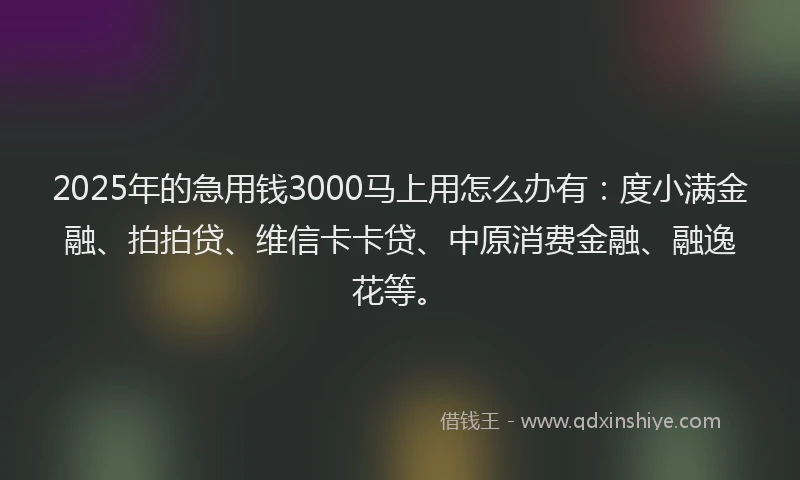 2025年的急用钱3000马上用怎么办有：度小满金融、拍拍贷、维信卡卡贷、中原消费金融、融逸花等。