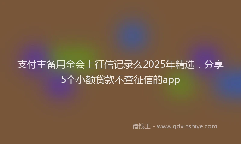 支付主备用金会上征信记录么2025年精选，分享5个小额贷款不查征信的app