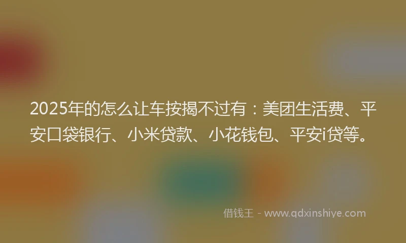 2025年的怎么让车按揭不过有：美团生活费、平安口袋银行、小米贷款、小花钱包、平安i贷等。