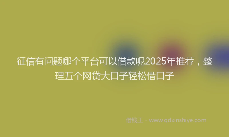 征信有问题哪个平台可以借款呢2025年推荐，整理五个网贷大口子轻松借口子