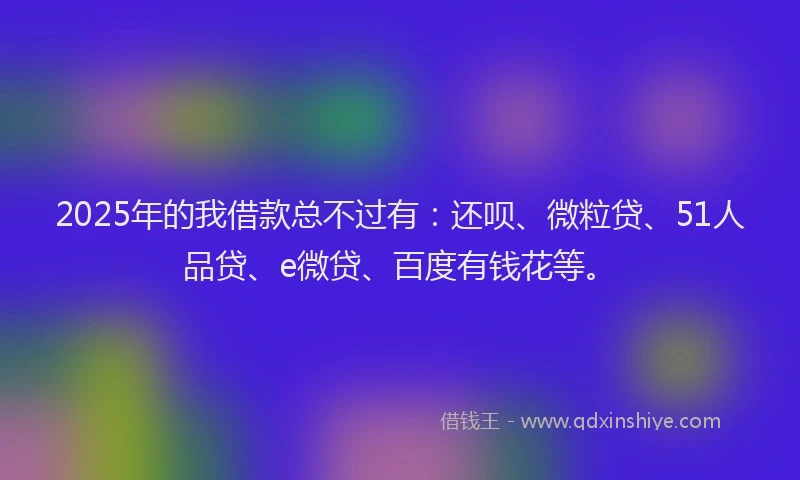 2025年的我借款总不过有：还呗、微粒贷、51人品贷、e微贷、百度有钱花等。