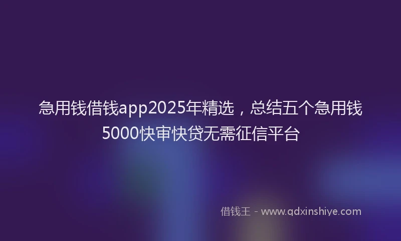 急用钱借钱app2025年精选，总结五个急用钱5000快审快贷无需征信平台