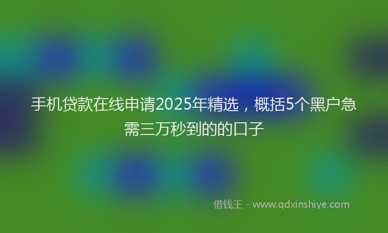 手机贷款在线申请2025年精选，概括5个黑户急需三万秒到的的口子