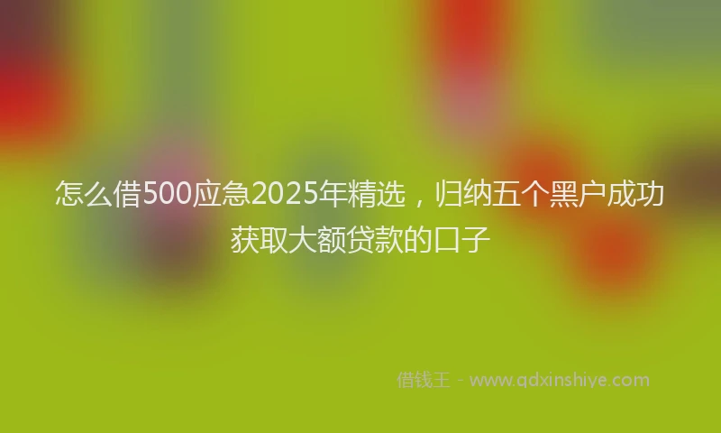 怎么借500应急2025年精选，归纳五个黑户成功获取大额贷款的口子