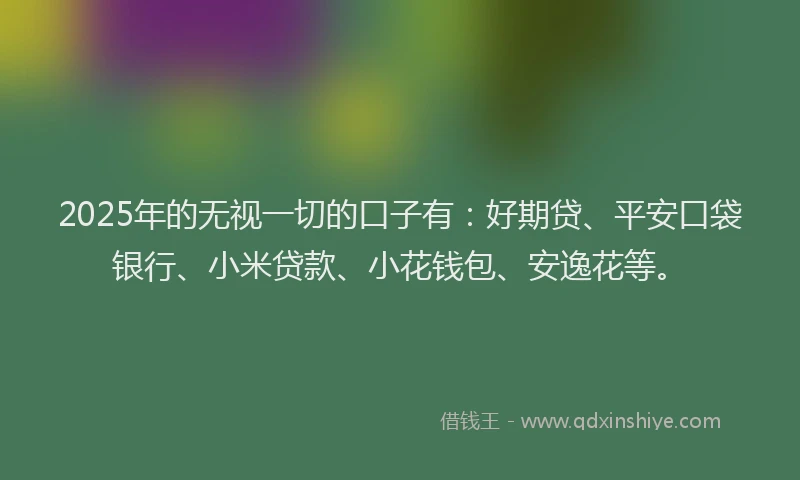 2025年的无视一切的口子有：好期贷、平安口袋银行、小米贷款、小花钱包、安逸花等。