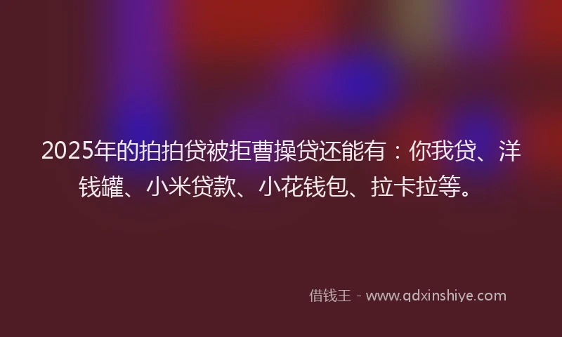 2025年的拍拍贷被拒曹操贷还能有：你我贷、洋钱罐、小米贷款、小花钱包、拉卡拉等。