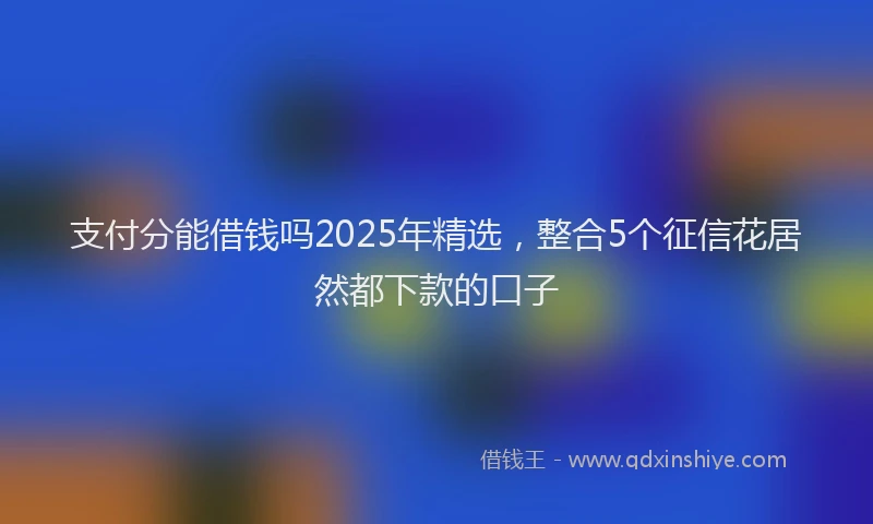 支付分能借钱吗2025年精选，整合5个征信花居然都下款的口子