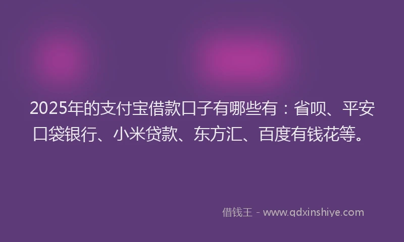 2025年的支付宝借款口子有哪些有：省呗、平安口袋银行、小米贷款、东方汇、百度有钱花等。