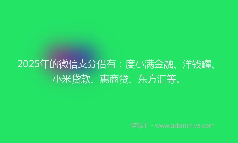2025年的微信支分借有：度小满金融、洋钱罐、小米贷款、惠商贷、东方汇等。