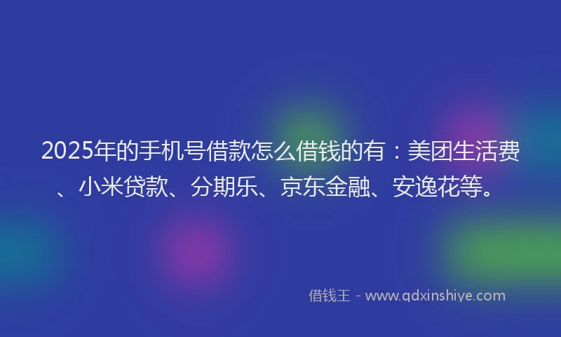 2025年的手机号借款怎么借钱的有：美团生活费、小米贷款、分期乐、京东金融、安逸花等。