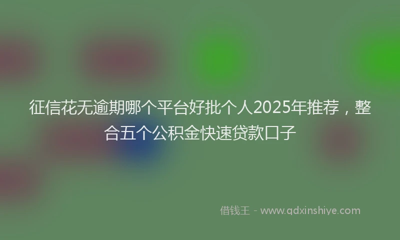 征信花无逾期哪个平台好批个人2025年推荐，整合五个公积金快速贷款口子