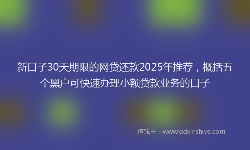 新口子30天期限的网贷还款2025年推荐，概括五个黑户可快速办理小额贷款业务的口子