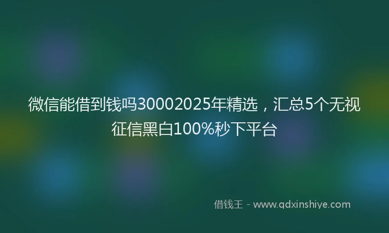 微信能借到钱吗30002025年精选，汇总5个无视征信黑白100%秒下平台