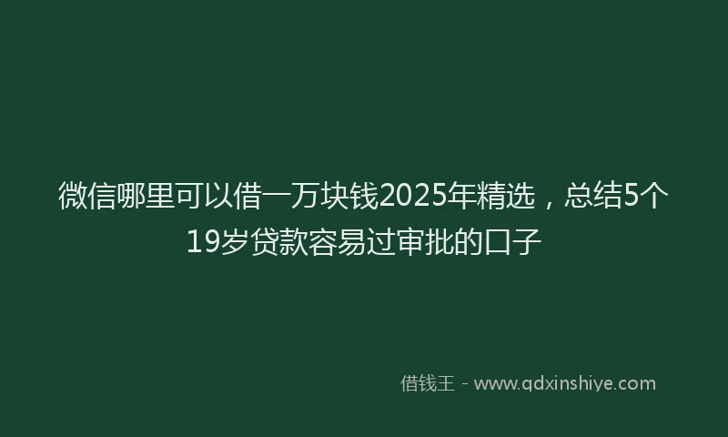 微信哪里可以借一万块钱2025年精选，总结5个19岁贷款容易过审批的口子