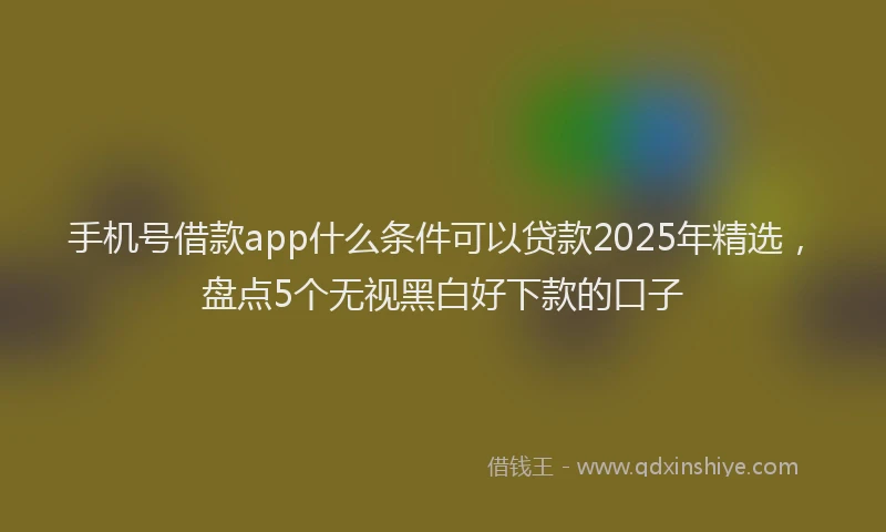 手机号借款app什么条件可以贷款2025年精选，盘点5个无视黑白好下款的口子