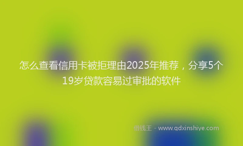 怎么查看信用卡被拒理由2025年推荐，分享5个19岁贷款容易过审批的软件