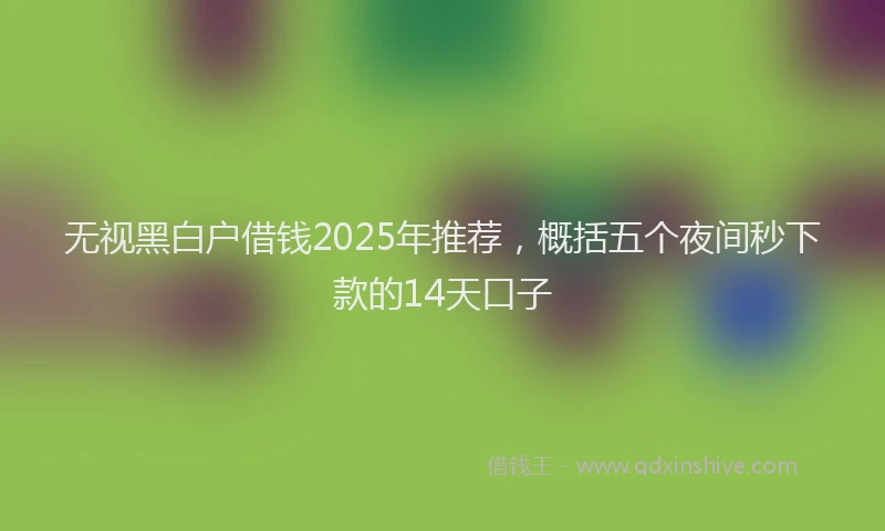 无视黑白户借钱2025年推荐，概括五个夜间秒下款的14天口子