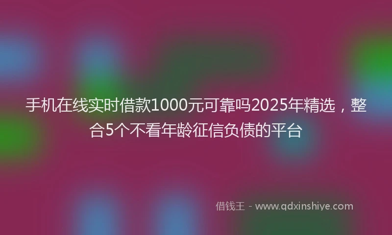 手机在线实时借款1000元可靠吗2025年精选，整合5个不看年龄征信负债的平台