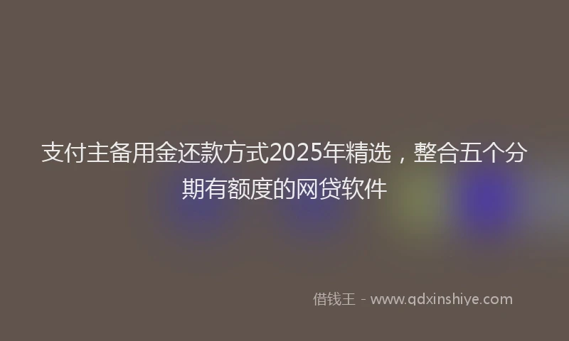 支付主备用金还款方式2025年精选，整合五个分期有额度的网贷软件