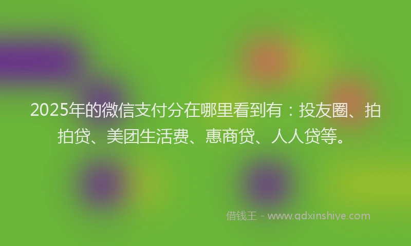 2025年的微信支付分在哪里看到有：投友圈、拍拍贷、美团生活费、惠商贷、人人贷等。