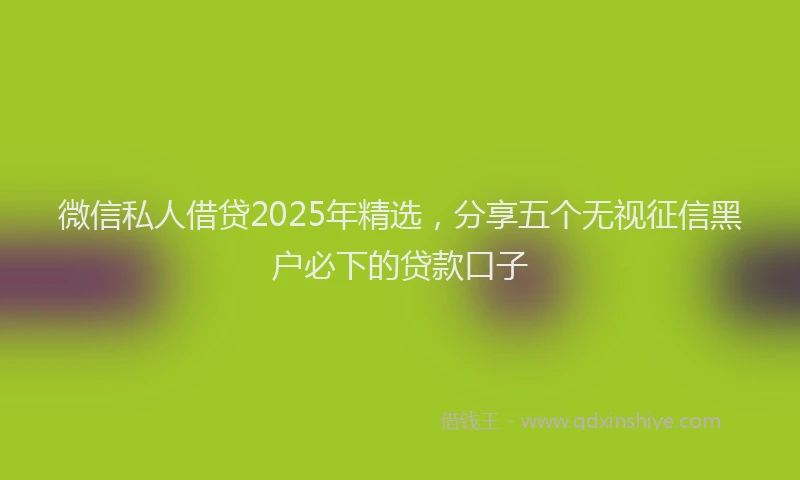 微信私人借贷2025年精选，分享五个无视征信黑户必下的贷款口子