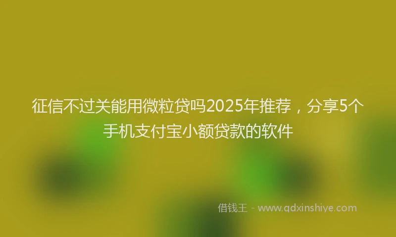 征信不过关能用微粒贷吗2025年推荐，分享5个手机支付宝小额贷款的软件