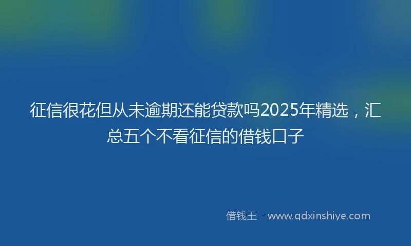 征信很花但从未逾期还能贷款吗2025年精选，汇总五个不看征信的借钱口子