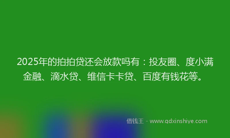 2025年的拍拍贷还会放款吗有：投友圈、度小满金融、滴水贷、维信卡卡贷、百度有钱花等。